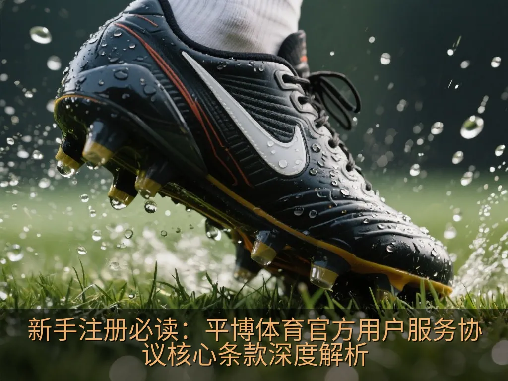 新手注册必读：平博体育官方用户服务协议核心条款深度解析